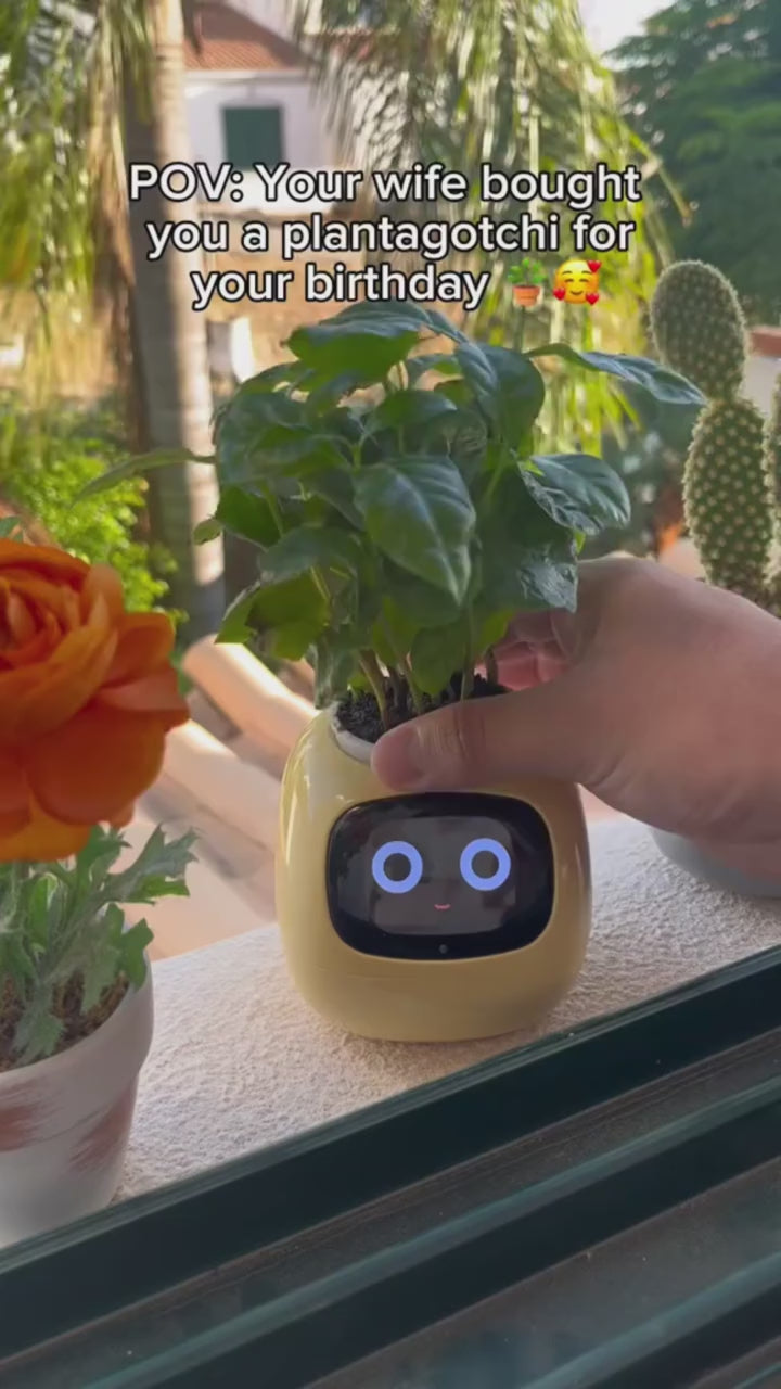 Plantagotchi™ Interactive Smart Planter