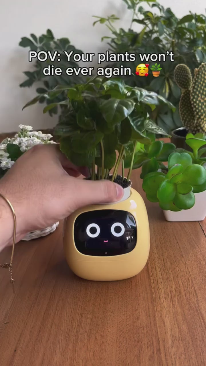 Plantagotchi™ Interactive Smart Planter